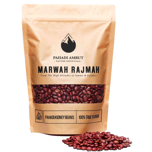 Authentic Marwah/Khistwari Rajmah - 470 gms | Grown at 5290 Ft