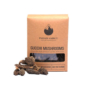 Gucchi Mushrooms | Morel Mushrooms | 50 GMS